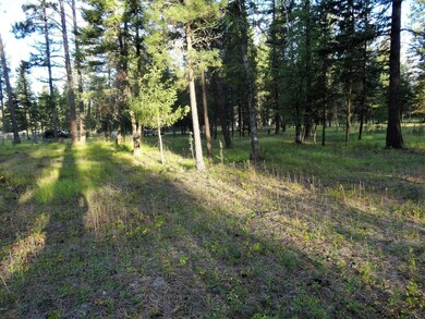 453 Kelley Dr, Big Fork, MT 59911 - photo 6