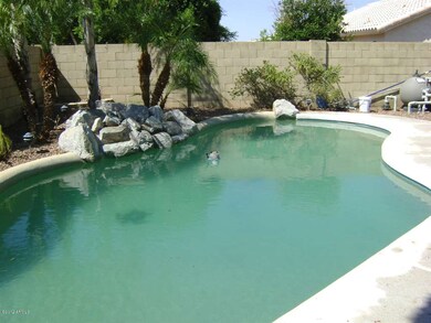 PEBBLE TEC POOL