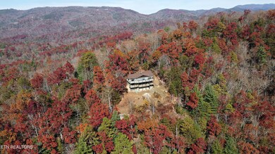 DJI_0242