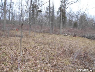 Other woods