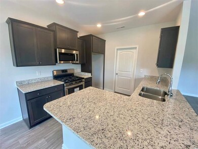 339 Palm Terrace Loop unit Lot 100 Oak II, Conway, SC 29526 - photo 3