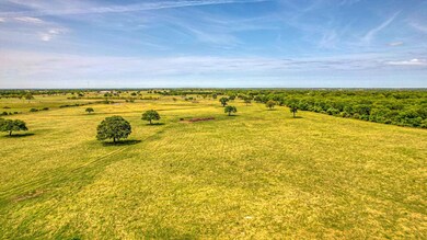 1550 Cottonwood Trail, Poolville, TX 76487 - photo 6