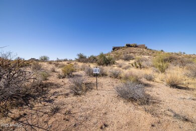 27524_N_113th_Pl_09