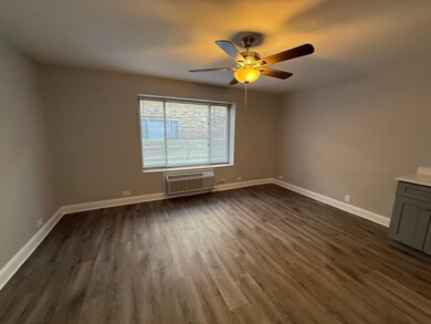 744 W Gordon Terrace unit 310, Chicago, IL 60613 - photo 3