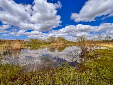IMG_5644