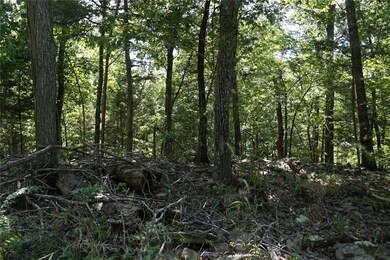 0 Harris Rd, Fayetteville, AR 72701 - photo 5