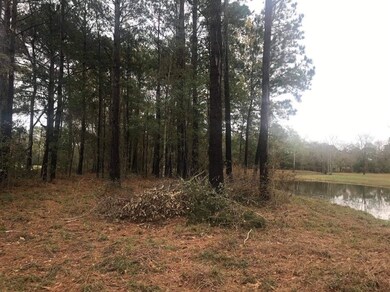 0 Fm 1488 unit 82085685, Waller, TX 77484 - photo 3