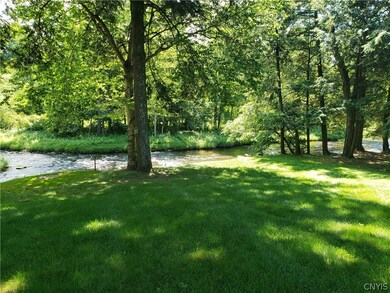 park-like back yard