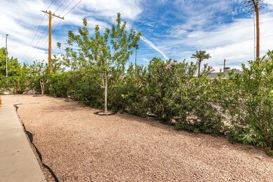 763 E 8th Ave, Mesa, AZ 85204 - photo 7