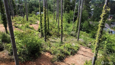 112 Tillicum Rd, Chehalis, WA 98532 - photo 7