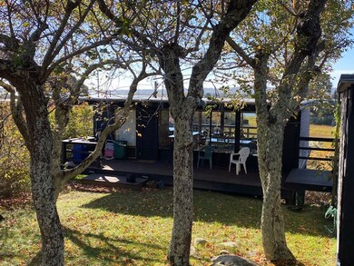 gorgeous trees in the back