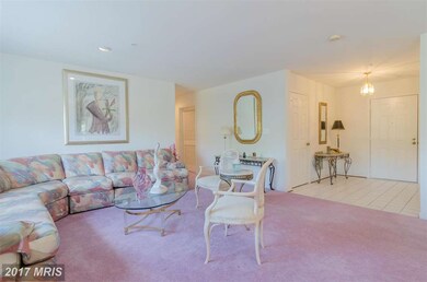 4600 Alcott Way unit 205, Owings Mills, MD 21117 - photo 5