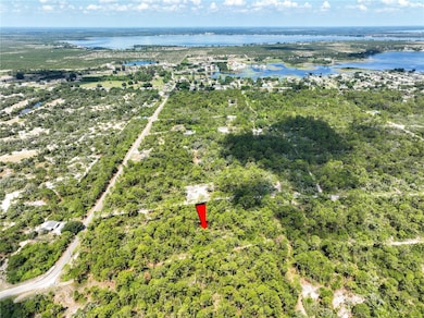 218 Sunnyside Dr, Lake Placid, FL 33852 - photo 7