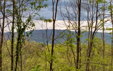 Additional View