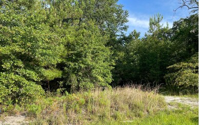 772 NW Country Lake Dr, Lake City, FL 32055 - photo 3