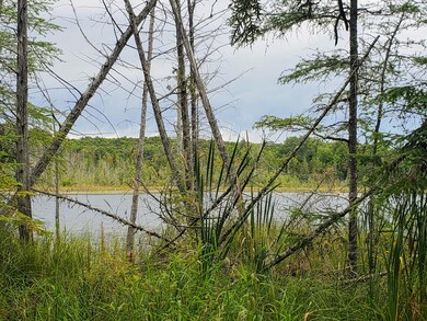 9009 Huffman Lake Rd, Vanderbilt, MI 49795 - photo 2