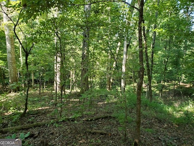 0 Goolsby Rd unit 10614178, Monticello, GA 31064 - photo 3