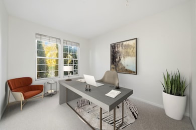 402 Marshall Ash St unit 3, Bolingbrook, IL 60490 - photo 3