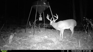 0 Highway 12, Tchula, MS 39169 - photo 2