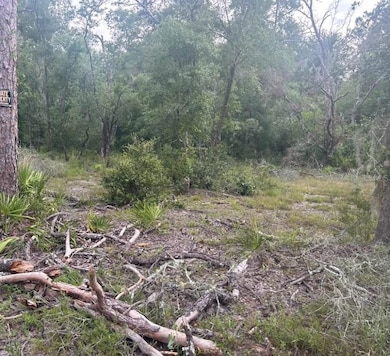 00 SW 158th Ln, Dunnellon, FL 34432 - photo 4