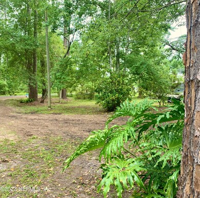 Front Yard View