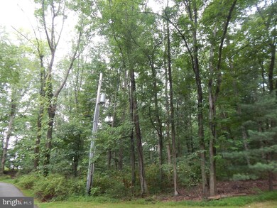 L:9391 Kulps Rd, Barto, PA 19504 - photo 2