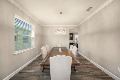 6412 Key Island Ave, Apollo Beach, FL 33572 - photo 7