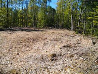 0 Spear Rd, Standish, ME 04084 - photo 2