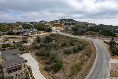 23906 Scenic Springs, San Antonio, TX 78255 - photo 2