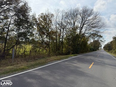 291 Smalling Rd, Rayville, LA 71269 - photo 7