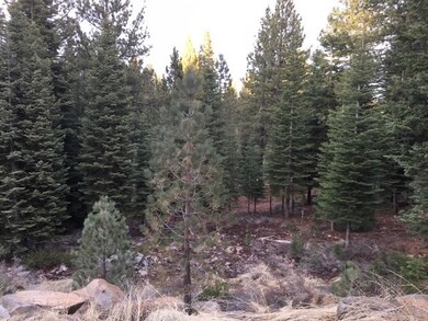View from Rancho View Court