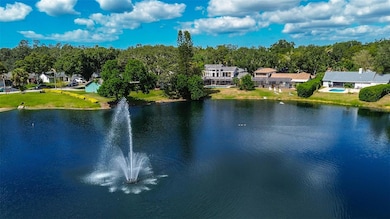 2864 Lake Valencia Blvd E, Palm Harbor, FL 34684 - photo 6