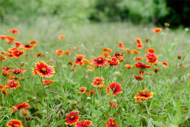 TBD 4 Ox Mill Creek Rd, Weatherford, TX 76087 - photo 4