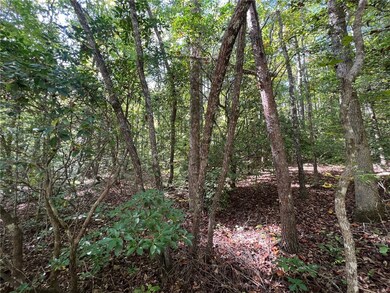 Tract 1-B C H 66, Tamassee, SC 29686 - photo 5