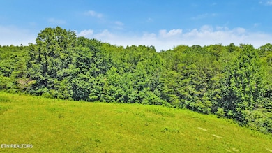 4805 S York Hwy, Jamestown, TN 38556 - photo 7