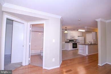 8099 Lacy Dr unit 101`, Manassas, VA 20109 - photo 6