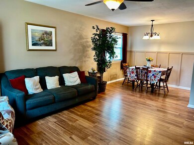 1633 N Ottawa St, Lincoln, IL 62656 - photo 2