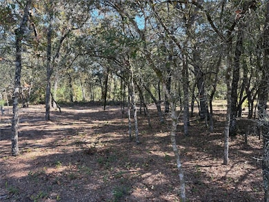 10079 N Ruth Terrace, Citrus Springs, FL 34434 - photo 2