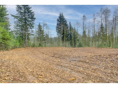 0 NE Hancock Rd unit 489816986, Camas, WA 98607 - photo 4