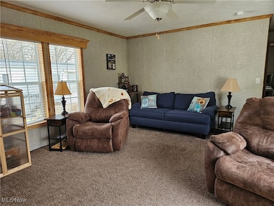 Carpeted living room featuring ornamental molding, a wealth of natural light, and a ceiling fan