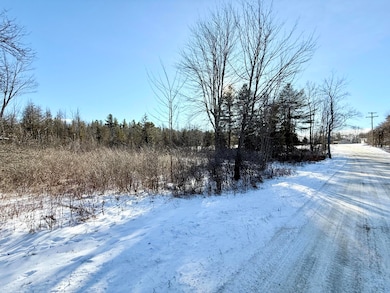 0 Hank Wilson Rd, Cadyville, NY 12918 - photo 6