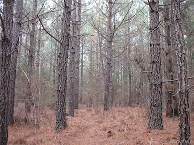 000 Valentine Mill Rd, Louisa, VA 23093 - photo 2