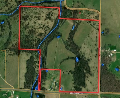 9551 Highway Ff, Mountain Grove, MO 65711 - photo 2