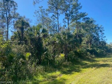 0 Shady Hollow Blvd E unit A11829710, Naples, FL 34120 - photo 7