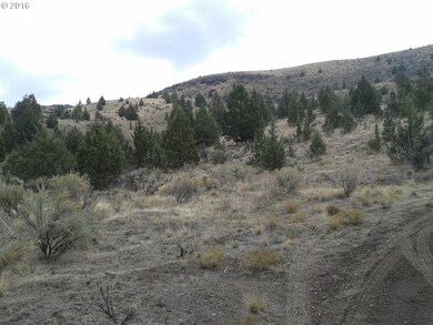 0 Eastside Ln unit 16128185, John Day, OR 97845 - photo 7