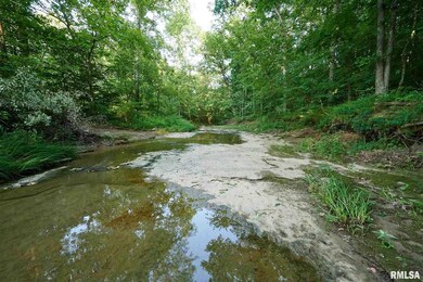 0000 N Us Hwy 51 N, Cobden, IL 62920 - photo 3