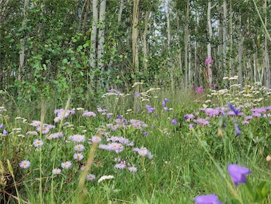 528 Glacier Peak View Rd, Jefferson, CO 80456 - photo 3