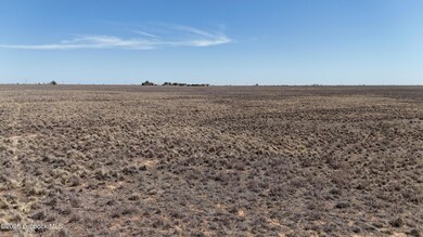 dji_fly_20250408_145502_0333_17441415794