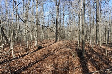 130 Johnny Bilbrey Ln, Cookeville, TN 38506 - photo 7