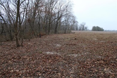 8150 Jacks Run Rd, Freeburg, IL 62243 - photo 5